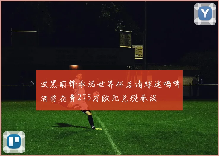 波黑前锋承诺世界杯后请球迷喝啤酒将花费275万欧元兑现承诺